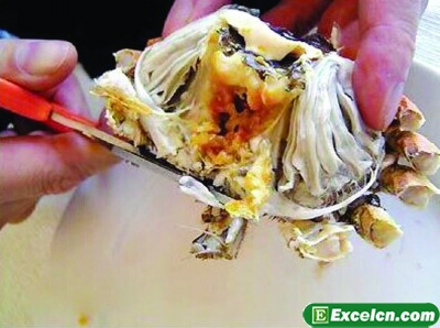 螃蟹的吃法图解
