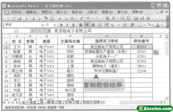 excel复制数据的效果